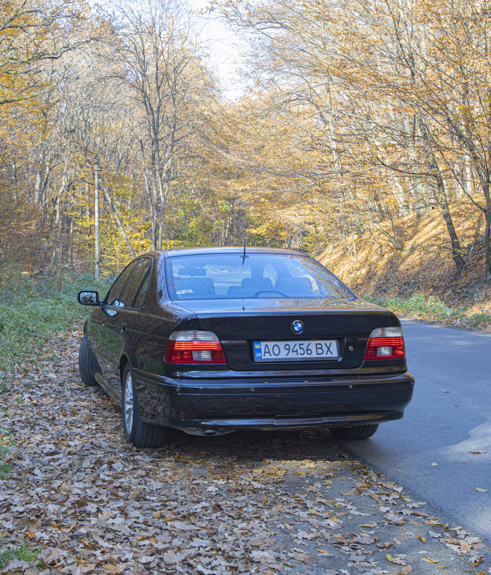 Вопрос о двухмассовом маховике — BMW 5 series (E39), 3 л, 2001 года |  другое | DRIVE2