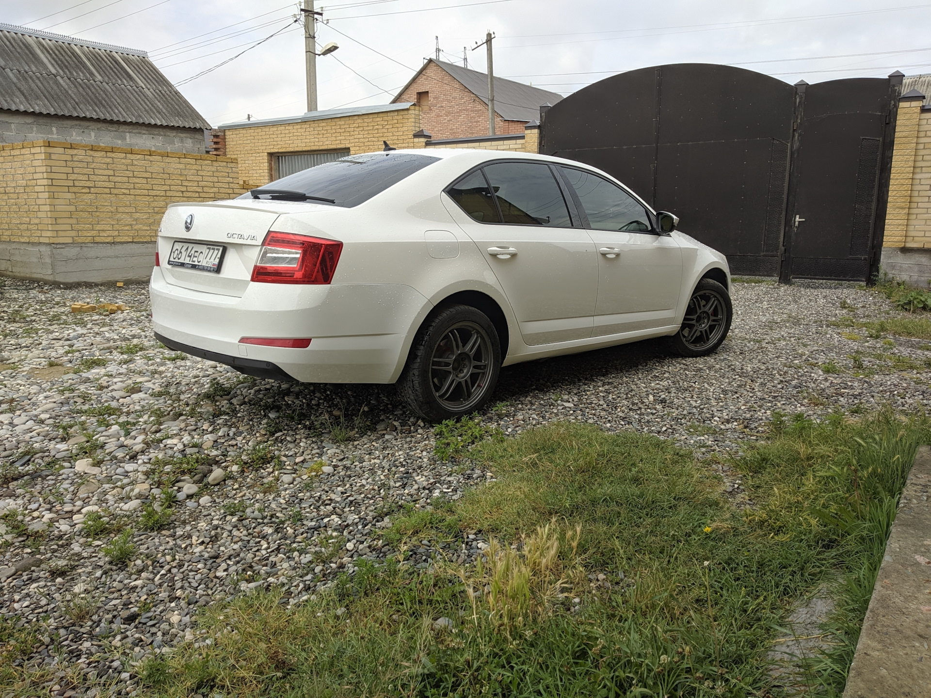 Мотор привет … — Skoda Octavia A7 Mk3, 1,8 л, 2014 года | плановое ТО |  DRIVE2