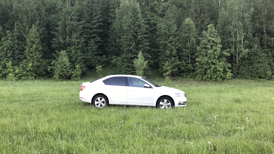 Некачественное топливо и появление постороннего звука — Skoda Octavia ...