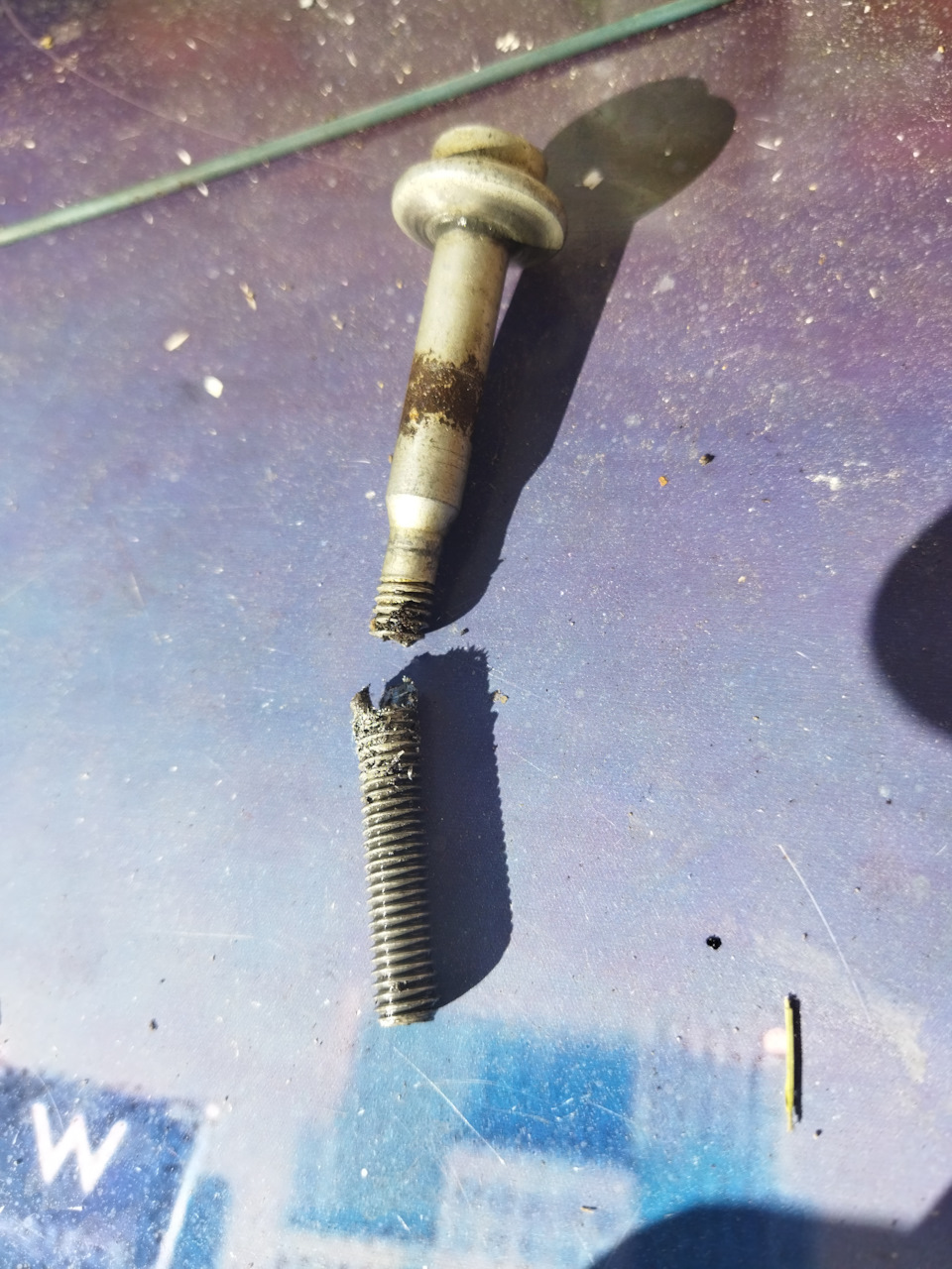 Стук пальцев, ПАМАГИТЕ! — Volkswagen Transporter T5, 2 л., 2011 года ...