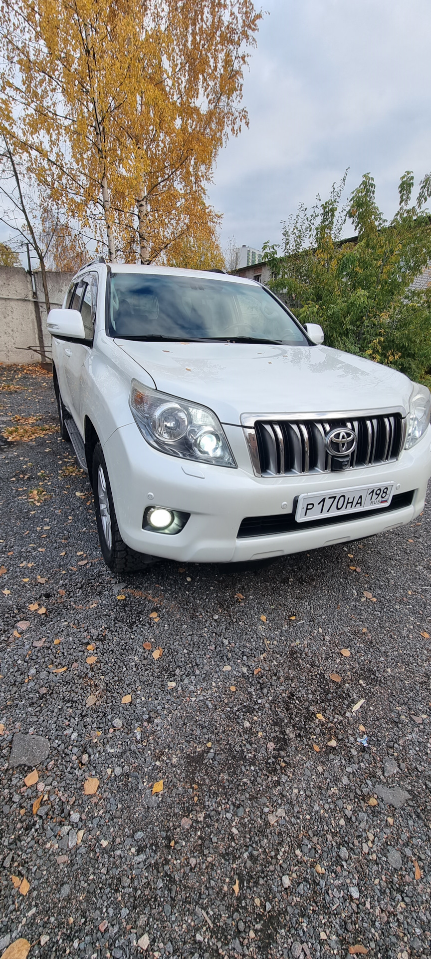 Замена лампы в противотуманках на LED Toyota land Cruiser Prado 150 ...
