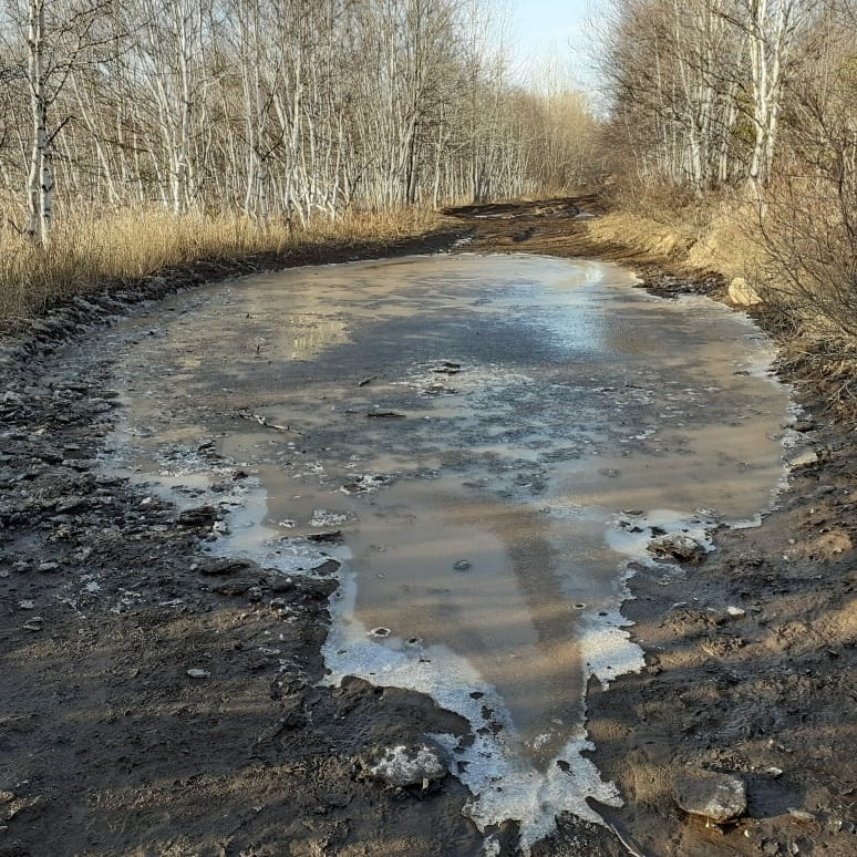 Поездка на аквариум — Suzuki Jimny, 1,5 л, 1999 года | покатушки | DRIVE2