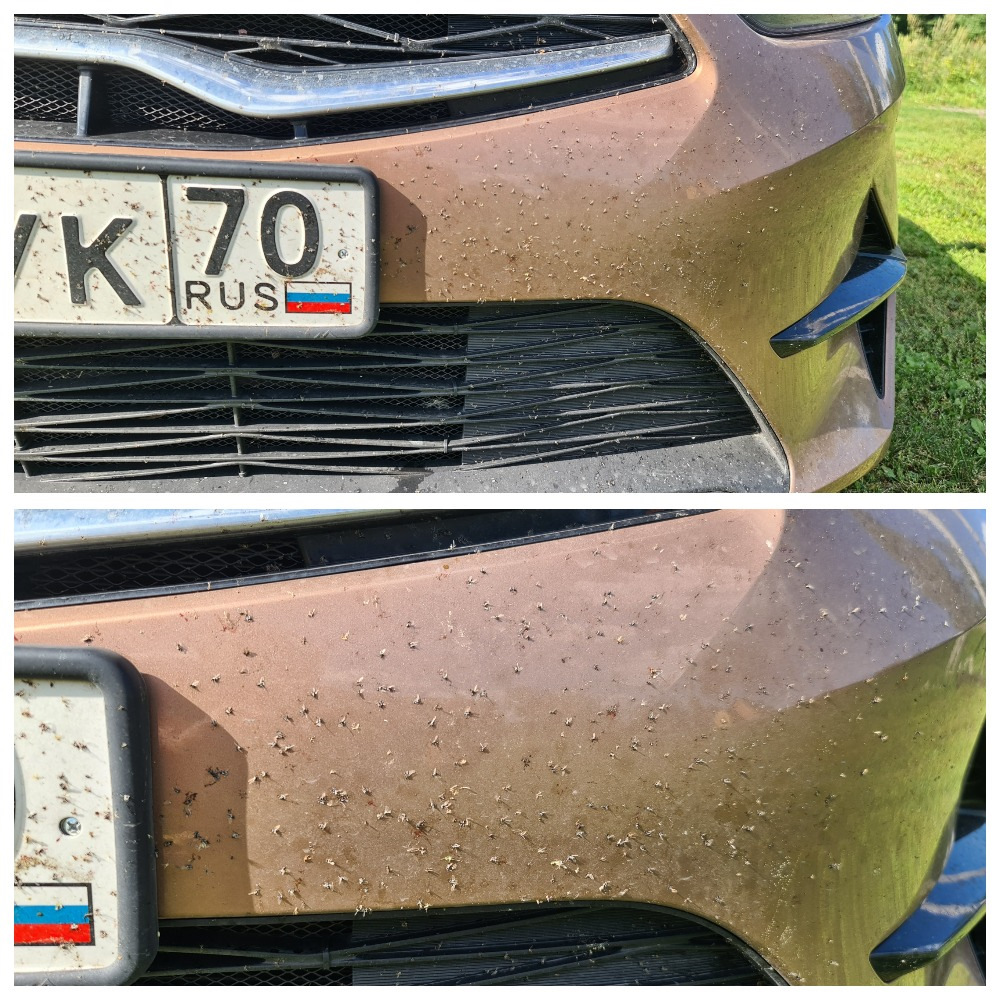 Чем отмыть мошек с бампера. Чем отмыть мошек с бампера