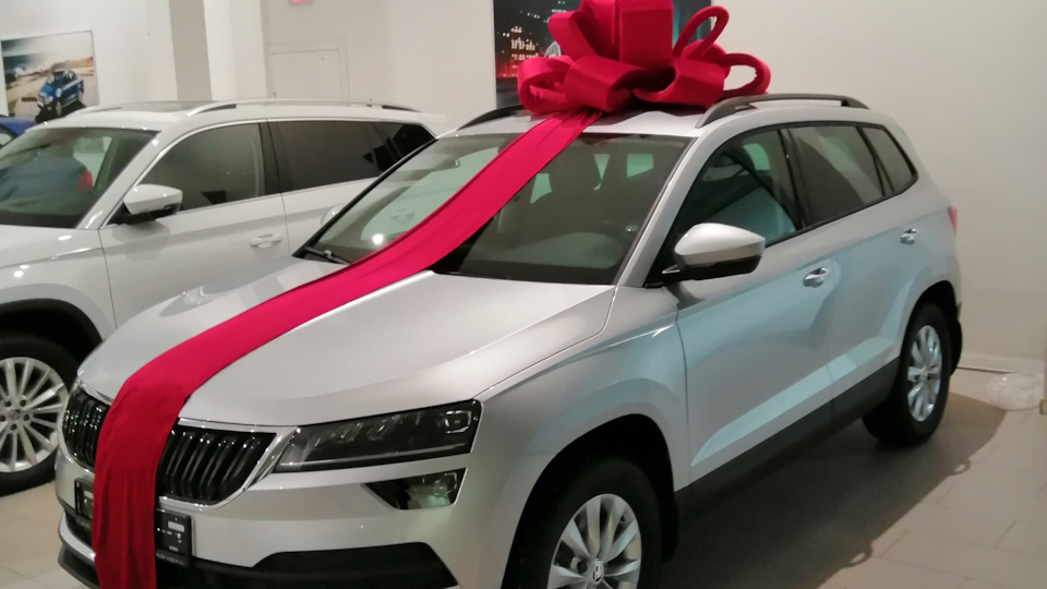 Скрип тормозов задних — Skoda Karoq, 1,4 л, 2020 года | расходники | DRIVE2