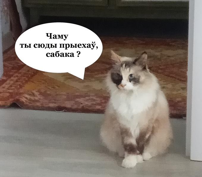 Влезет ли стиральная машина в киа рио. Смотреть фото Влезет ли стиральная машина в киа рио. Смотреть картинку Влезет ли стиральная машина в киа рио. Картинка про Влезет ли стиральная машина в киа рио. Фото Влезет ли стиральная машина в киа рио