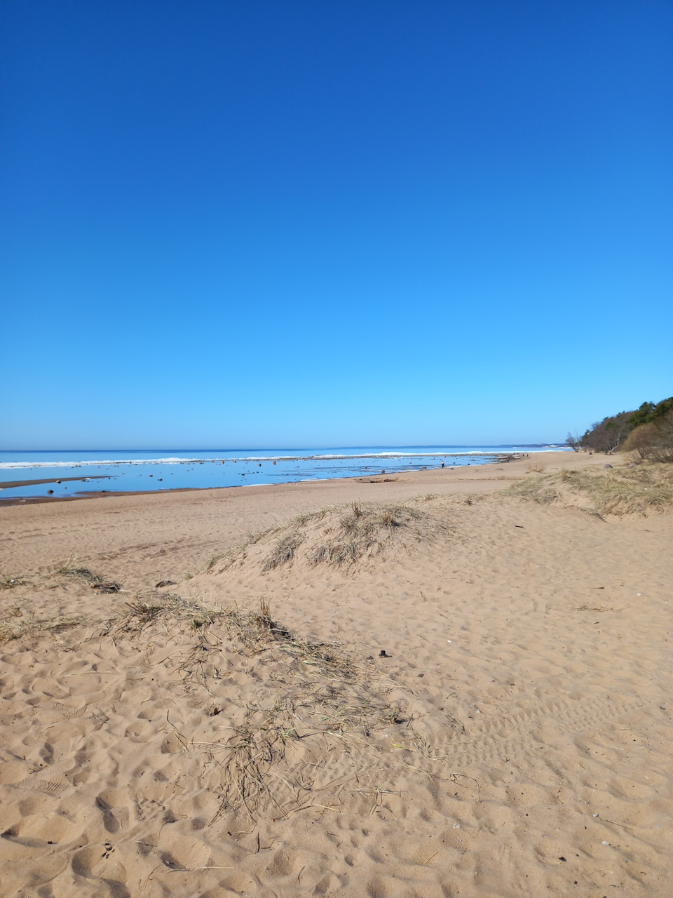 Фото в бортжурнале Renault Sandero 2G