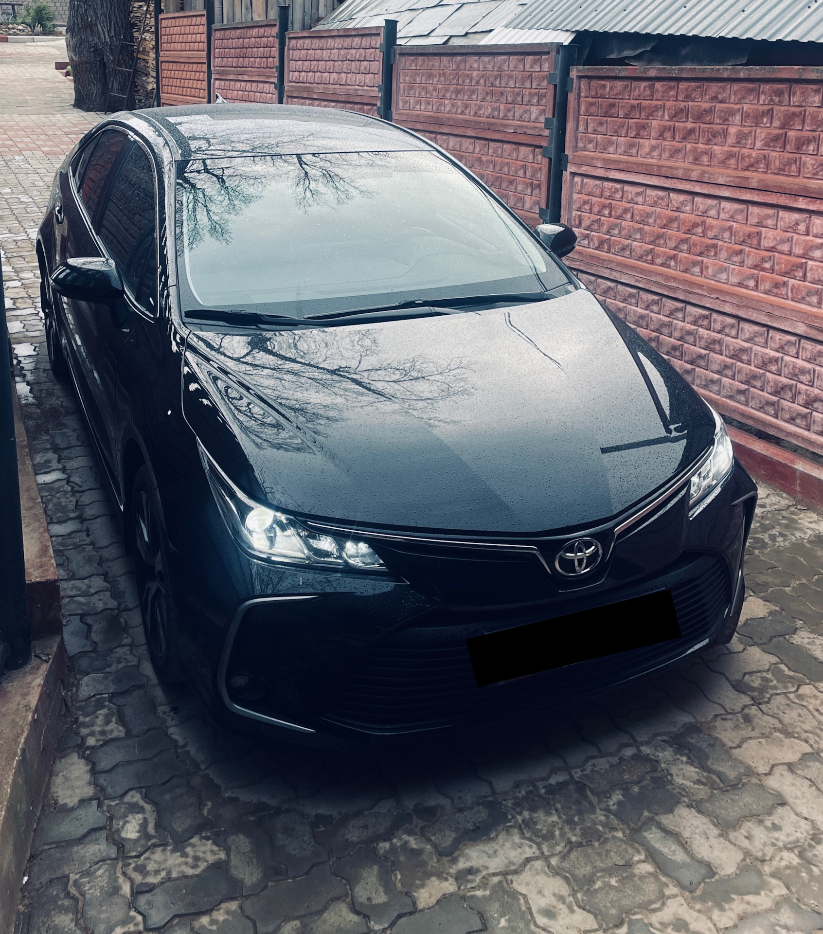 Новые доработки. — Toyota Corolla (E210), 1,6 л, 2019 года | аксессуары ...