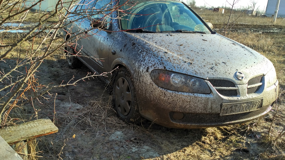Ремонт передней подвески путем замены сайлент-блоков — Nissan Almera II ...