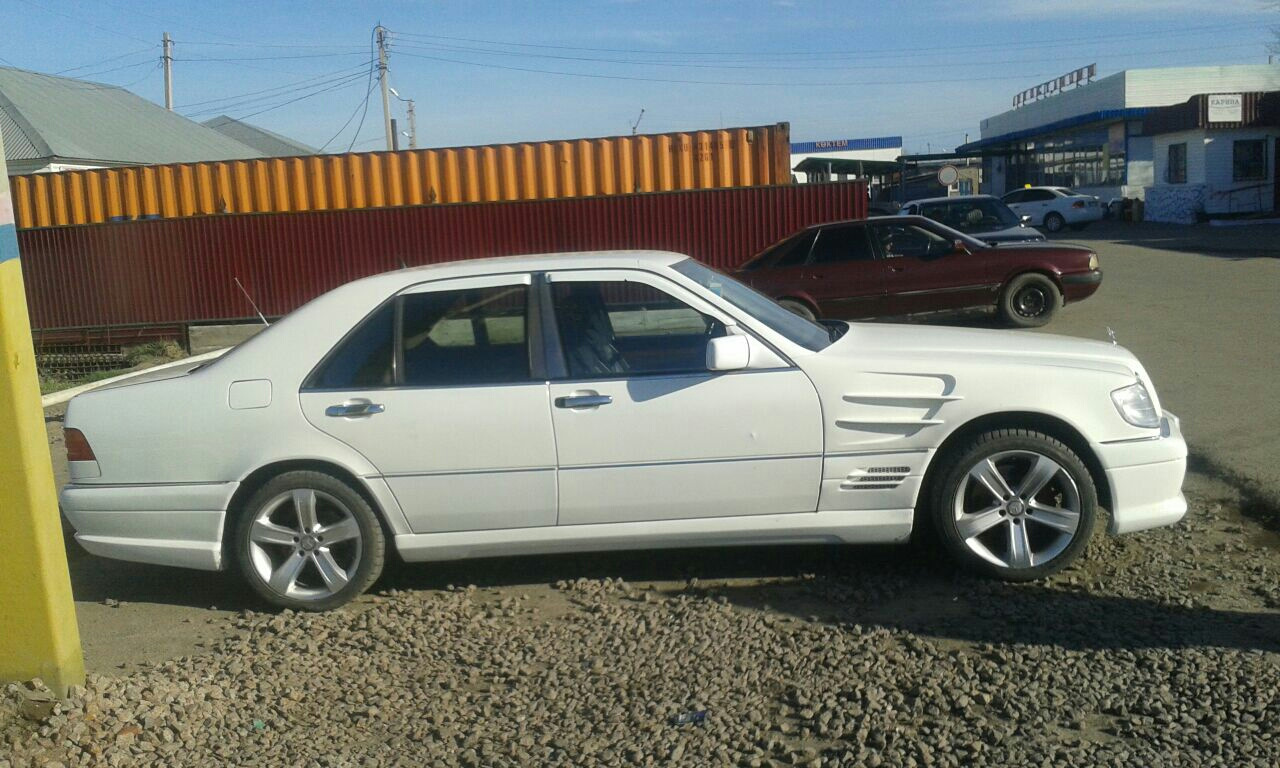 Mercedes w140 Wald