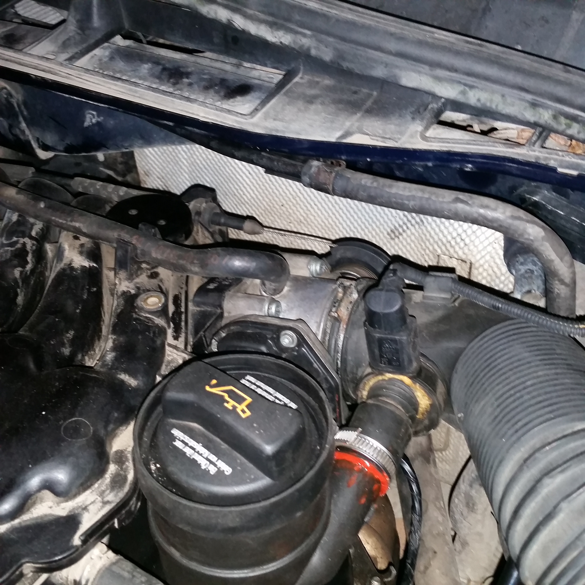 Черный налет на заслонке. Паук мотор датчик дросселя. 1. Skoda адаптация дроссельной заслонки. Skoda адаптация дроссельной заслонки.