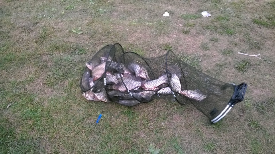 Краник для слива охлаждающей жидкости + дополнение — Chevrolet Niva (1G ...