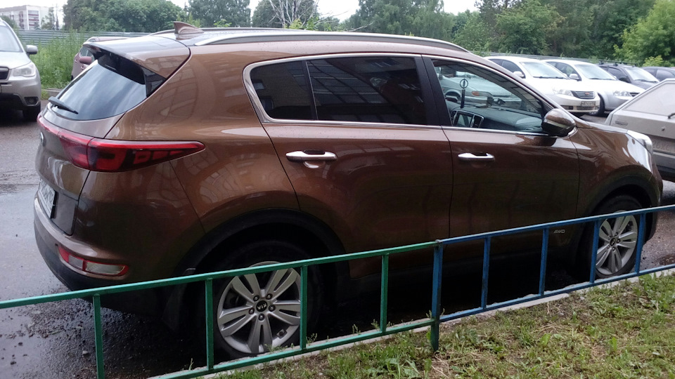 Тонировка задней полусферы — DRIVE2