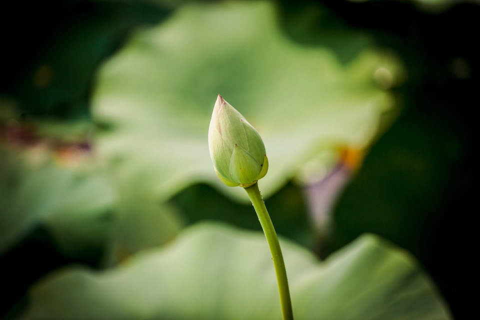 Дорога — мой дом… — Toyota RAV4 (IV), 2,5 л, 2015 года | путешествие ...