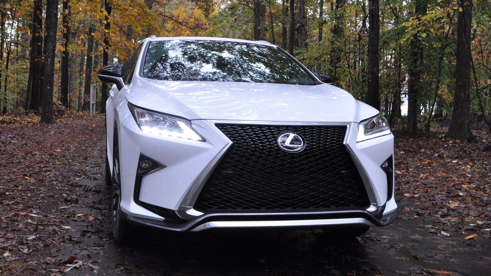 Лексус отзывы. Лексус РХ 350 F Sport. Lexus RX F Sport 2018 белый. Lexus rx350 f Sport Luxury. Lexus rx4 f Sport.