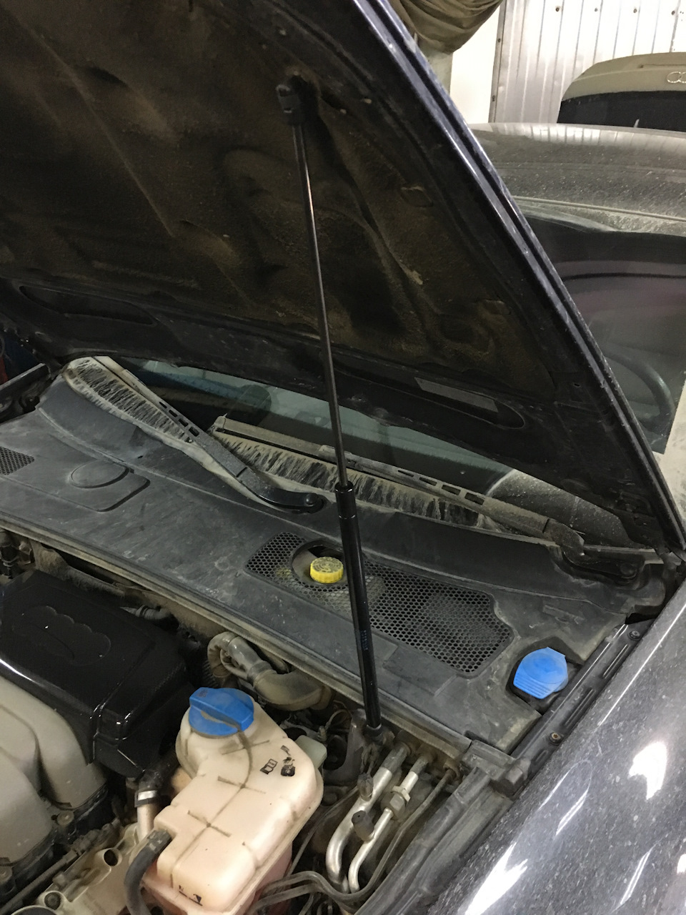 Фото в бортжурнале Audi A6 (C6)