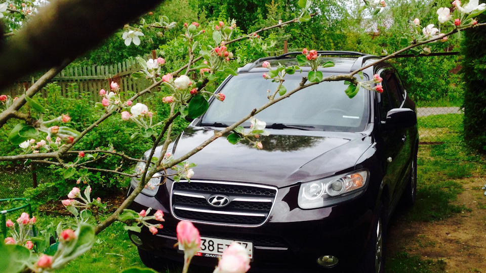 Hyundai Santa Fe V6 2,7  ВИШНЯ В ШОКОЛАДЕ