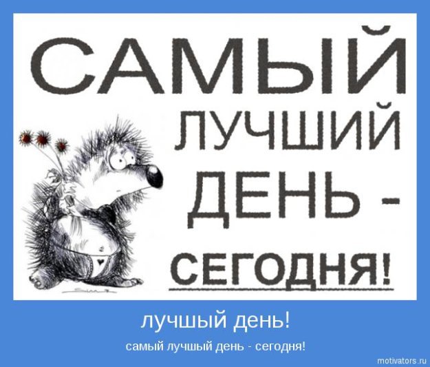 Постер "Сегодня самый лучший день" купить - Рекламная продукция для лесной отрас