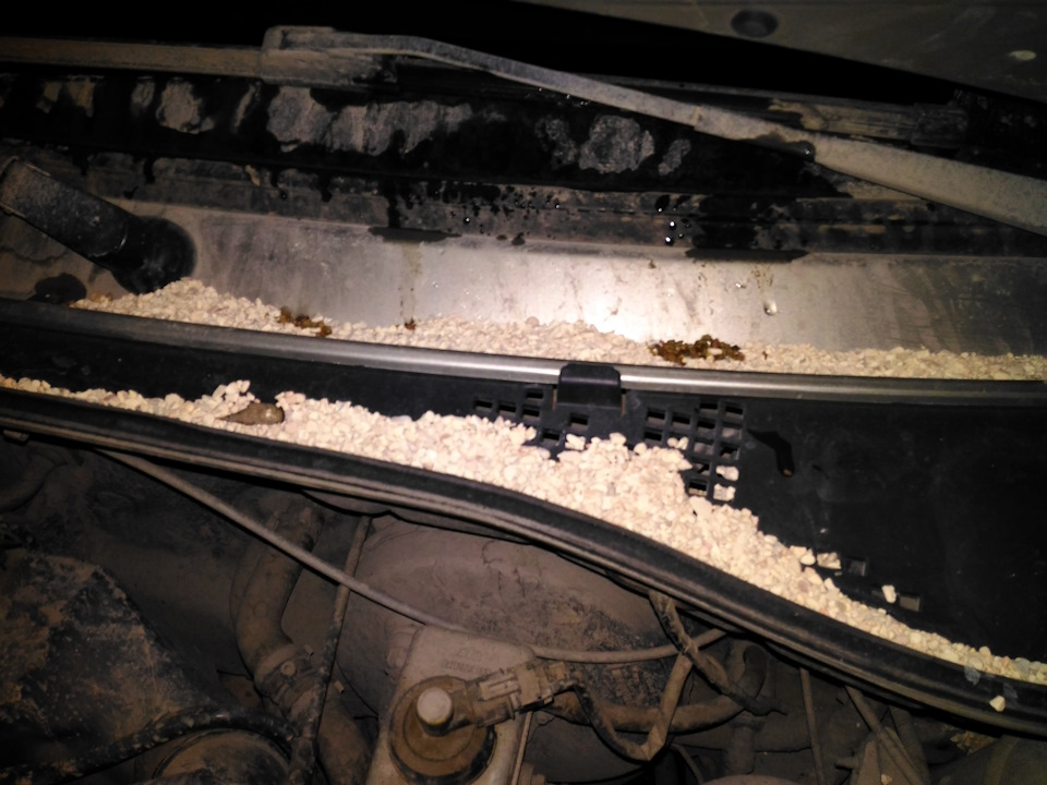 Мужики, что это кто знает? — Lada Ларгус, 1,6 л, 2013 года | мойка | DRIVE2