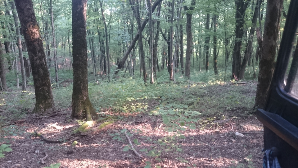 пропасть, не не видели! — УАЗ 315195 Hunter