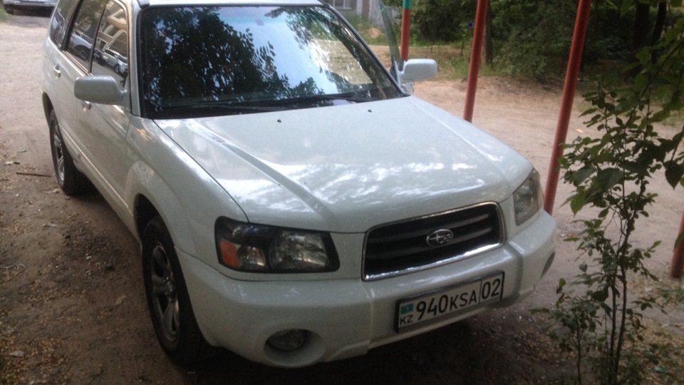 forester isofix