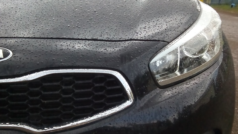 Льняное масло — KIA Ceed (2G), 2015 года | расходники | DRIVE2