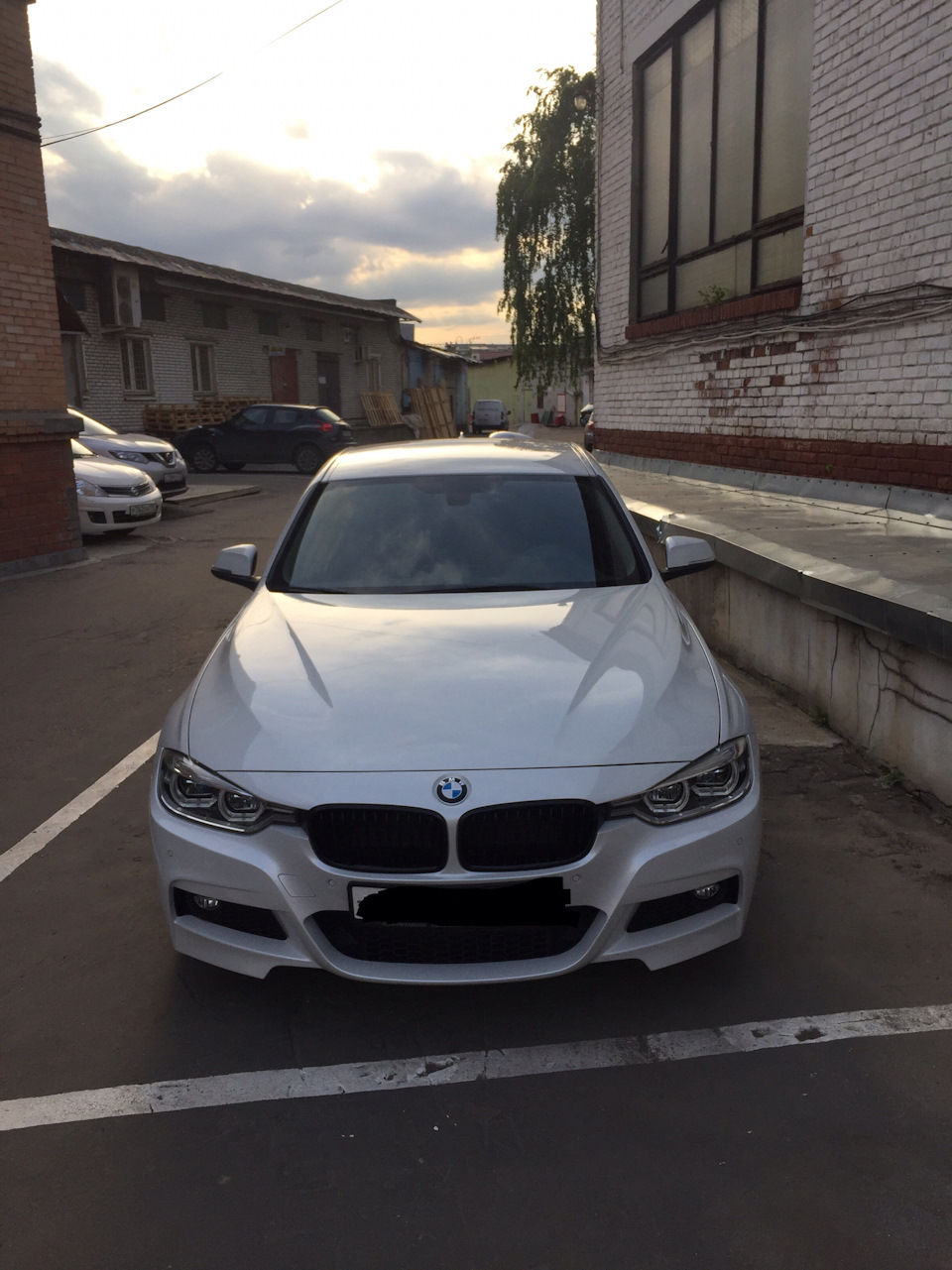 черные ноздри bmw f30