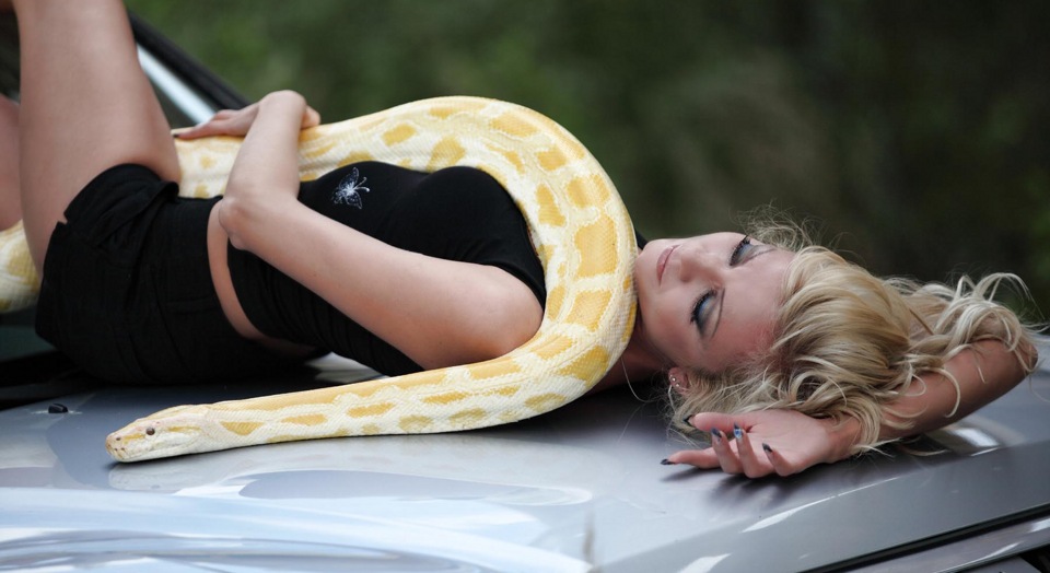 Женщина змея видео. Змея задушение девушек. Фото на рабочий стол фото женщины змеи. Девушка блондинка змея на аву фото.