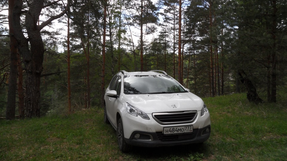 Пежо 2008 отзывы. Пежо 2008 белый. Peugeot 2008 белый. Пежо 2008 2 белый перламутр.