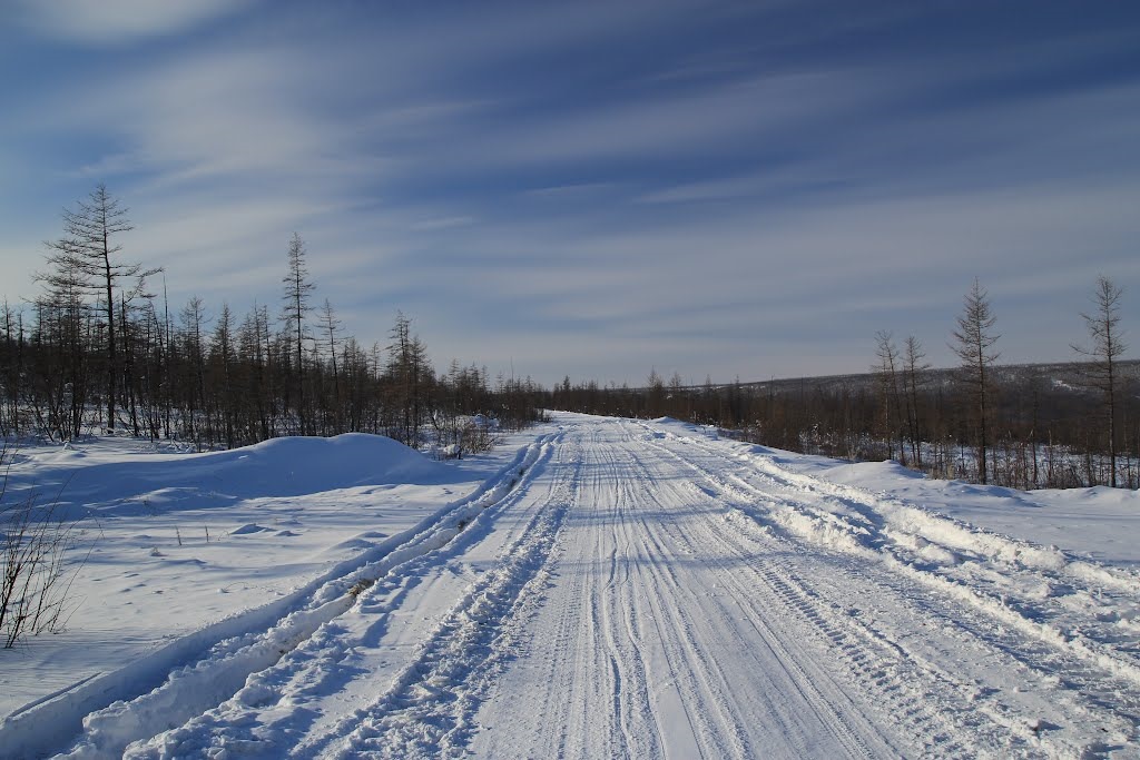 Погода в ленском якутия. Ленск Нюрба. Ленск зимой. Дорога на Ленск. Нюрба зимой.