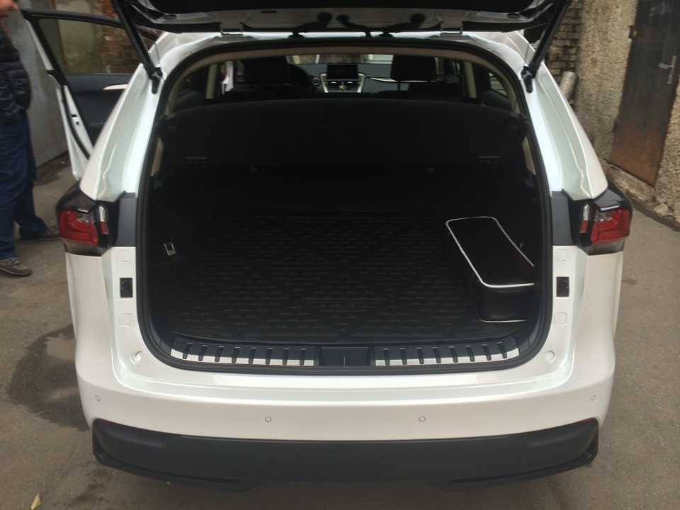 Коврик в багажник. — Lexus NX (1G)
