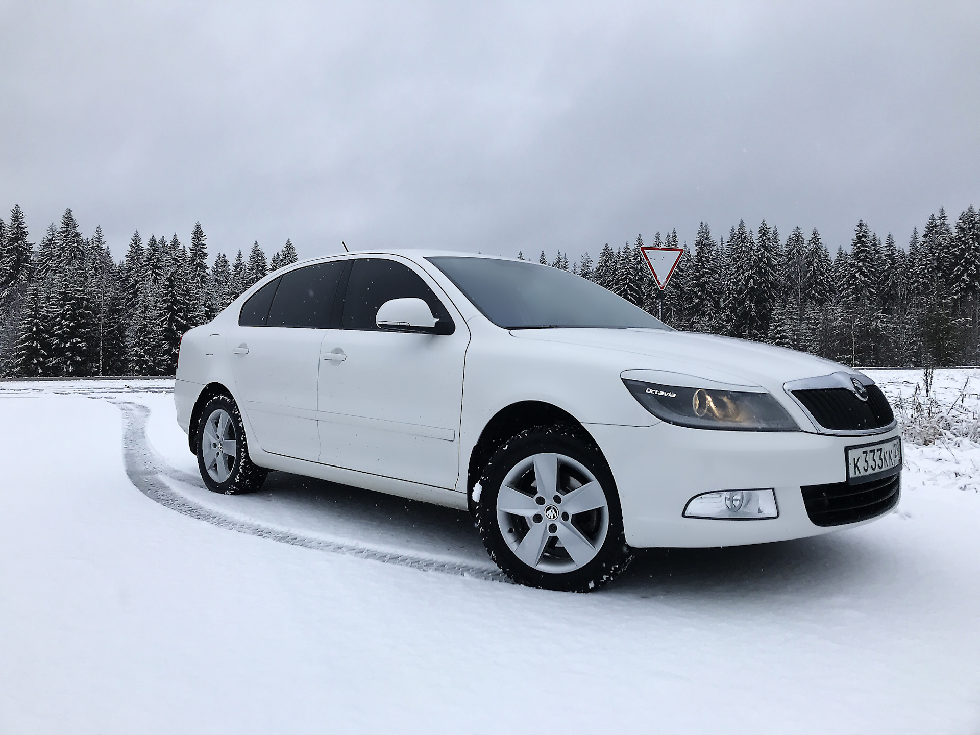 Skoda Octavia a7 зима