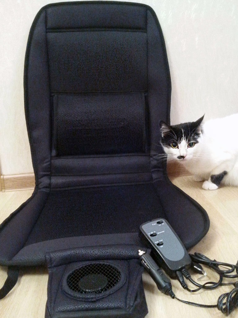 главный тестер пятилетний котэ Малыш о восьми килограммах веса — Ford Fusion