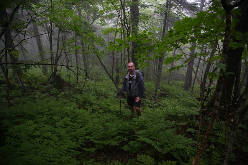 Фото в бортжурнале Toyota HiAce (H100)