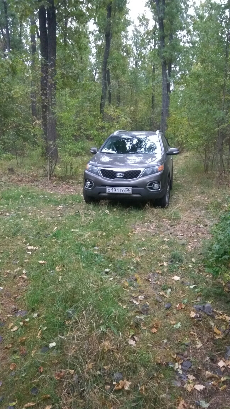 Фото в бортжурнале KIA Sorento (2G)
