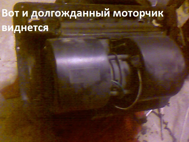 Фото в бортжурнале BMW 3 series (E36)