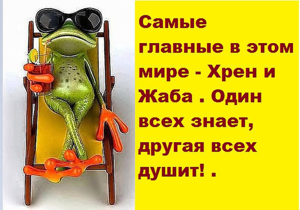 Олечке картинка, об окончании отпуска картинки прикольные