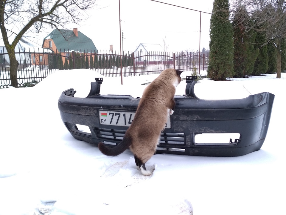 Передув турбины — Volkswagen Golf Mk4, 1,9 л, 2002 года | своими руками ...