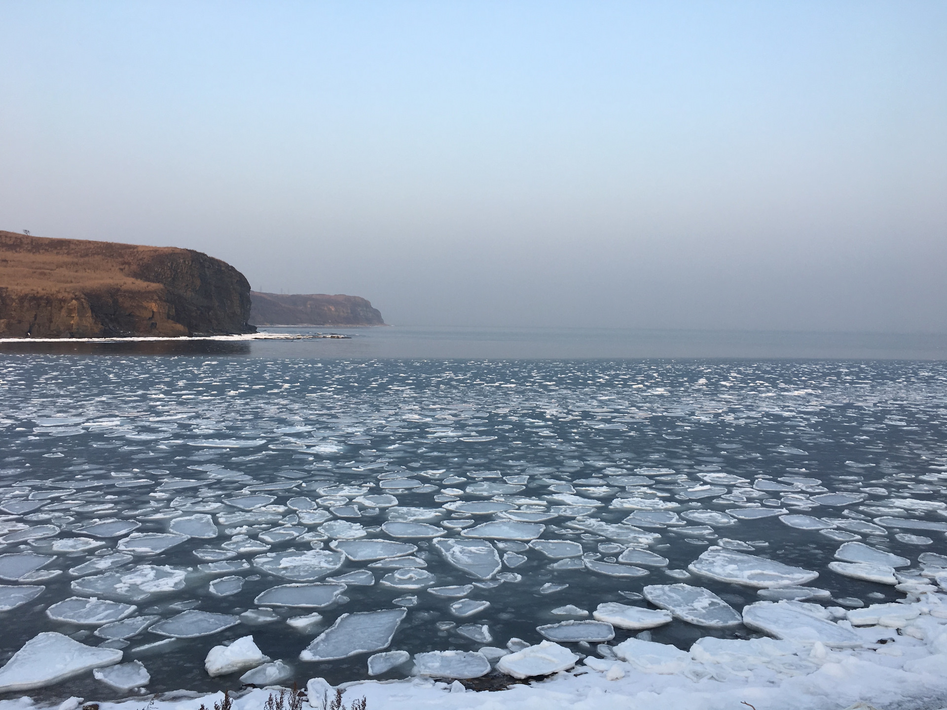 Мыс шмидта сегодня фото