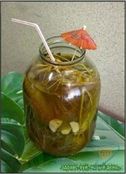 Зачем нужны друзья в Сети? — DRIVE2