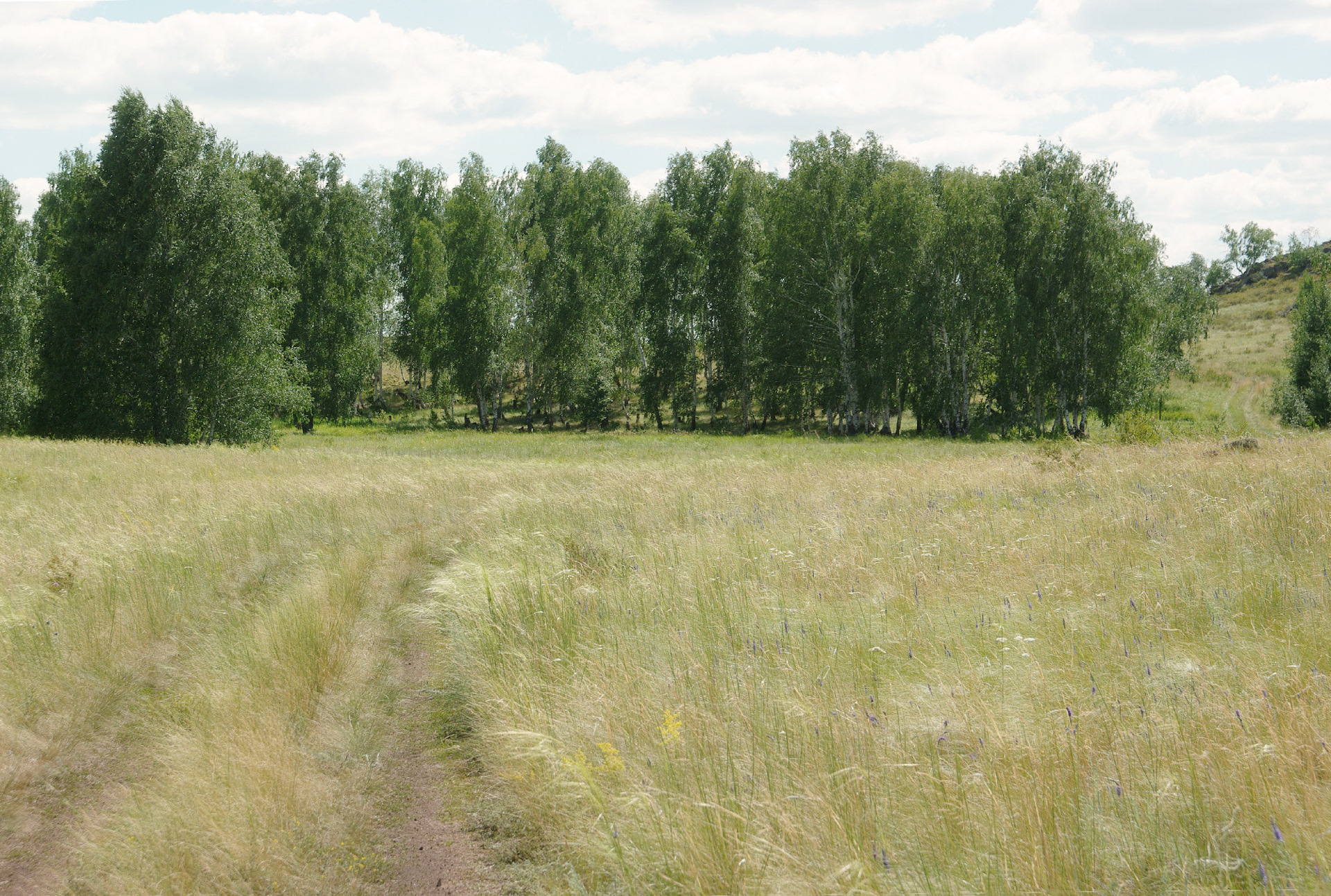 Погода село мартыновка. Мартыновка Полтавской обл.. Мартыновка Николаевская область. Село Мартыновка. Мартыновка Украина Николаевская обл.