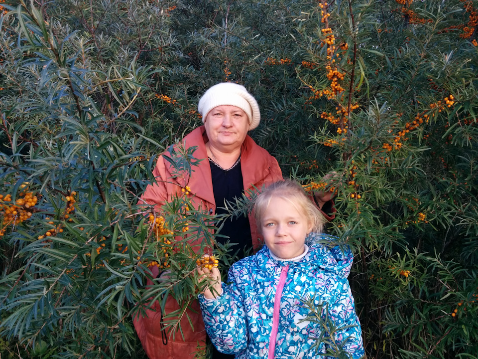 Фото в бортжурнале УАЗ 315195 Hunter