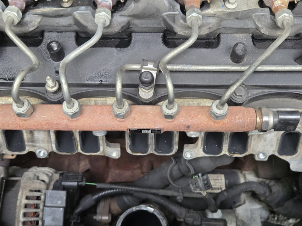 Фото в бортжурнале Ford Transit (8G)