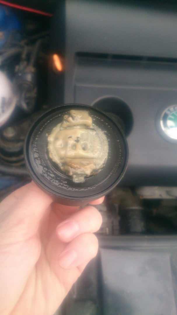 я просто счастлив. — Skoda Fabia Combi Mk1