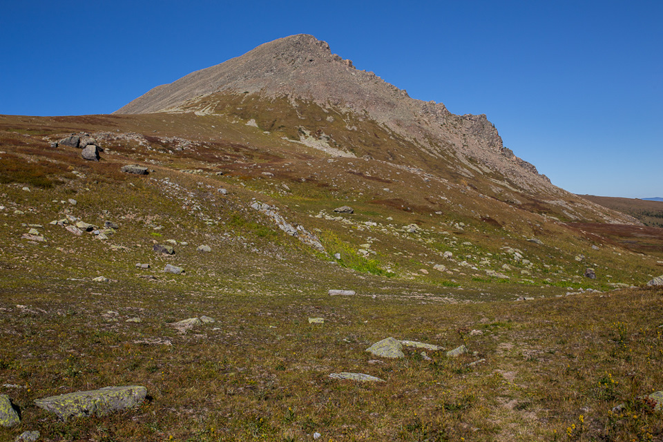 Фото в бортжурнале УАЗ Cargo