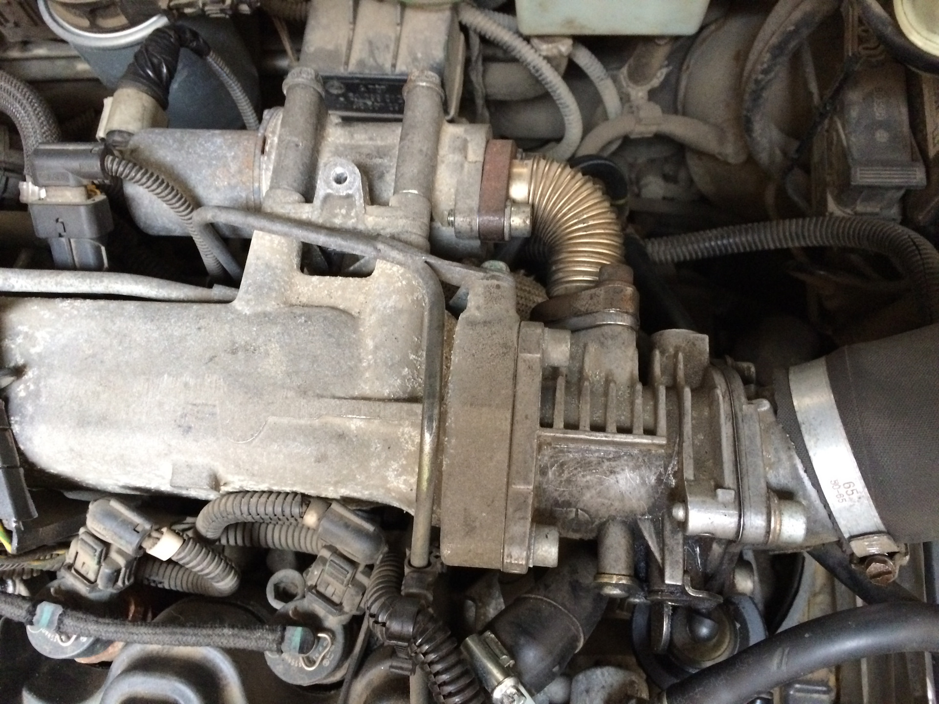 Заглушка EGR — Alfa Romeo 156, 1,9 л, 2004 года | своими руками | DRIVE2