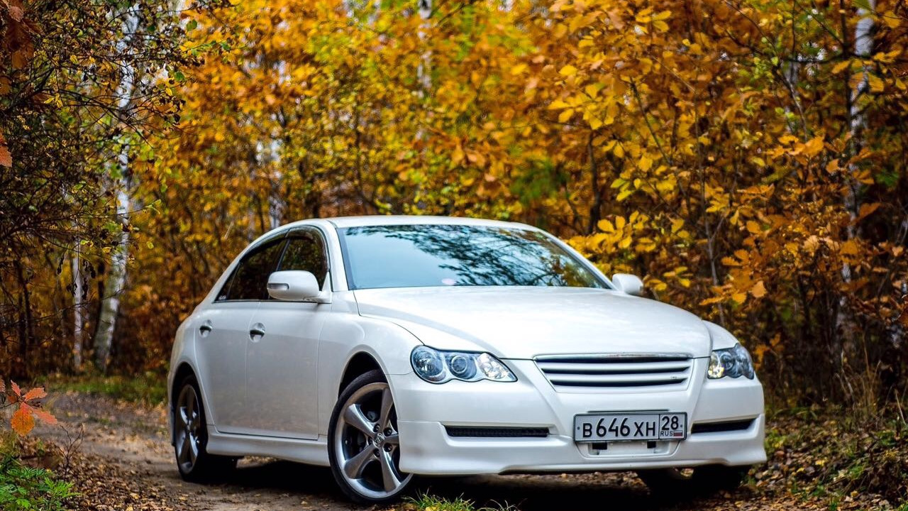 Toyota Mark x вектор.