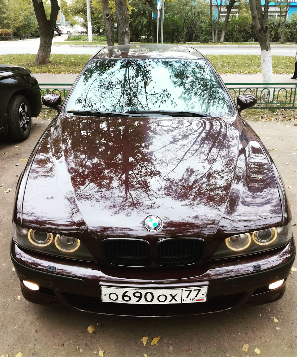 Немного bmw.😎хочу погоду, природу, фотоаппарат и время для съёмок(надоел  телефон — DRIVE2