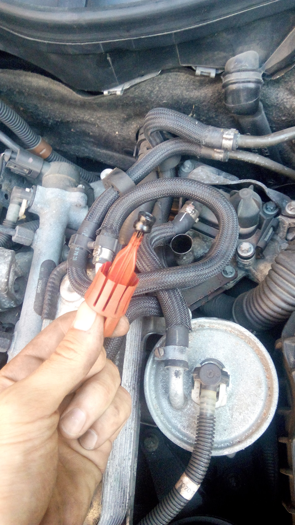 Фото в бортжурнале Mercedes-Benz C-class Estate (S203)