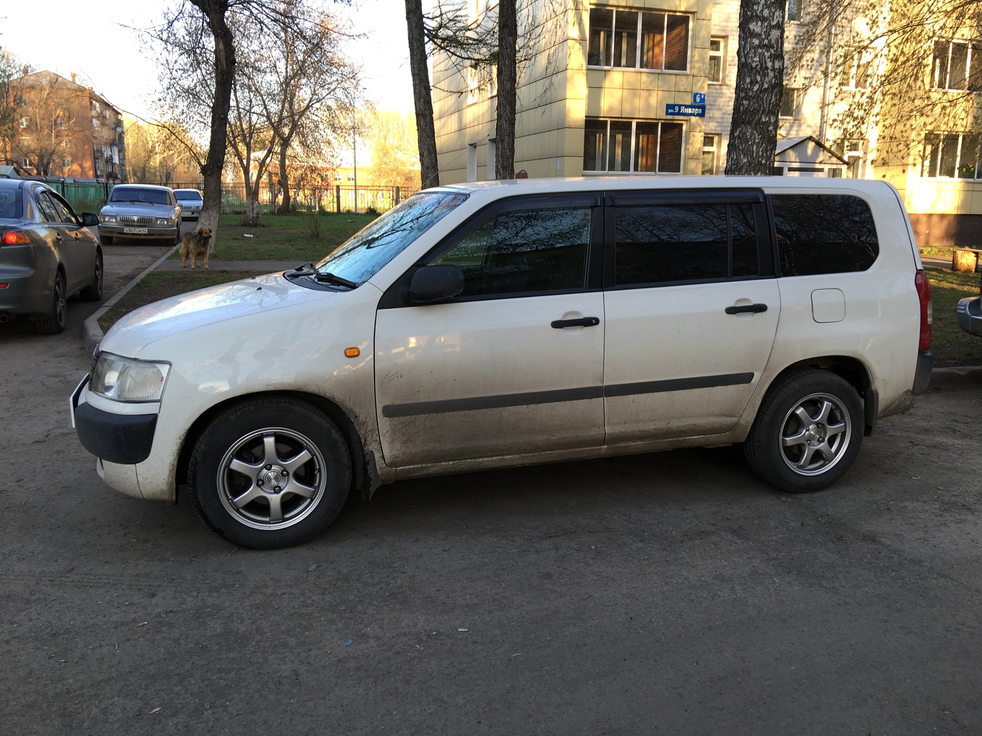 Пробокс 2003. Тойота Пробокс 2003. Пробокс 19 год. Toyota Probox сбоку. Тойота Пробокс вид сбоку.