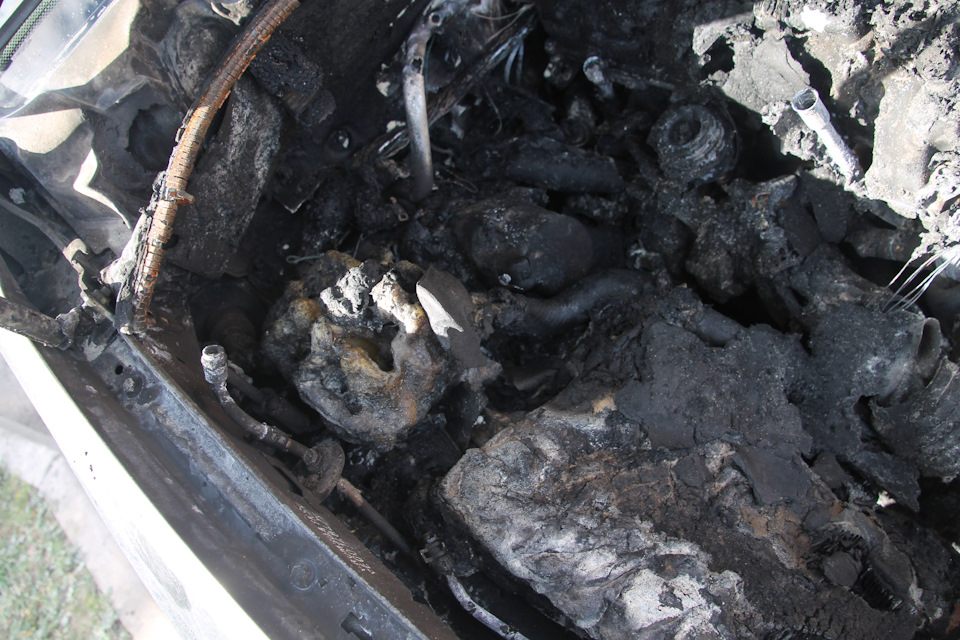 Фото в бортжурнале SsangYong Kyron